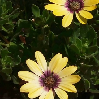IMG 20190326 233738 793