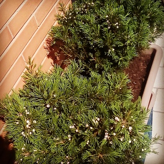 IMG 20190411 114617 276