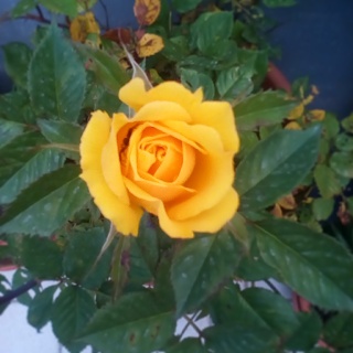 IMG 20190506 001209 037