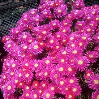 IMG 20190510 134911 405